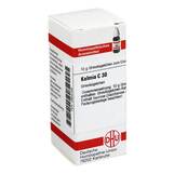 Produktbild DHU Kalmia C 30 Globuli