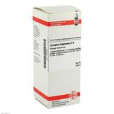 Abbildung: DHU Lycopus virg. D 6 Dilution Dilution, 50 ml PZN 02926635