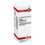 Produktbild DHU Zincum metallicum D 6 Dilution