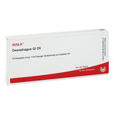 Produktbild Oesophagus GL D 5 Ampullen