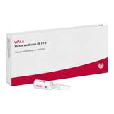 Produktbild Plexus Cardiacus GL D 15 Ampullen