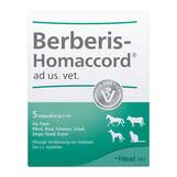 Produktbild Berberis Homaccord Ampullen vet. (f&uuml;r Tiere)