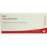 Produktbild Vesica Urinaria GL D 8 Ampullen