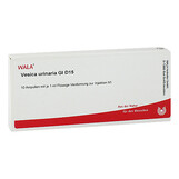 Produktbild Vesica Urinaria GL D 15 Ampullen