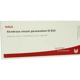 Produktbild Membrana sinuum para. GL D 30 Ampullen