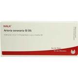 Produktbild Arteria Coronaria GL D 5 Ampullen