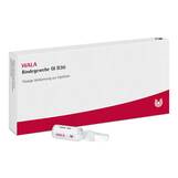 Produktbild Bindegewebe GL D 30 Ampullen