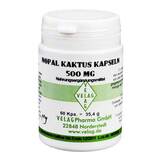 Produktbild Nopal Kaktus 500 mg Kapseln