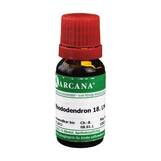 Produktbild Rhododendron Arcana LM 18 Dilution