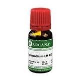 Produktbild Lycopodium Arcana LM 30 Dilution