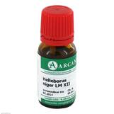 Produktbild Helleborus Niger Arcana LM 12 Dilution