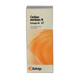 Produktbild Synergon 67 Carduus mar. N T