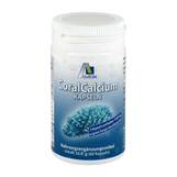 Produktbild Coral Calcium Kapseln 500 mg