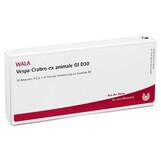 Produktbild Vespa Crabro ex animale GL D 30 Ampullen