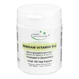 Produktbild Pangam Vitamin B15 Vegi Kaps