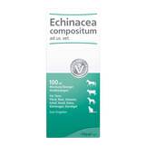 Produktbild Echinacea Compositum Tropfen vet. (f&uuml;r Tiere)