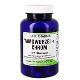 Abbildung: Yamswurzel + Chrom GPH Kapseln Kapseln, 120 St PZN 04131704
