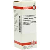 Produktbild DHU Leonurus Cardiaca D 3 Dilution