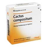 Produktbild Cactus Compositum Ampullen