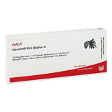 Produktbild Iscucin Pini St.H Ampullen