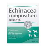 Produktbild Echinacea Compositum Ampullen vet. (f&uuml;r Tiere)