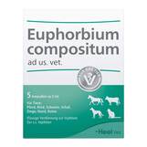 Produktbild Euphorbium Compositum Ampullen vet. (f&uuml;r Tiere)