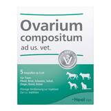 Produktbild Ovarium Compositum Ampullen vet. (f&uuml;r Tiere)