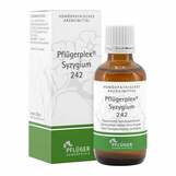 Produktbild Pfl&uuml;gerplex Syzygium 242 Tropfen