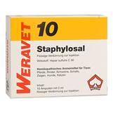 Produktbild Staphylosal 10 vet. Ampullen