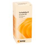 Produktbild Synergon 81 Caulophyllum N T