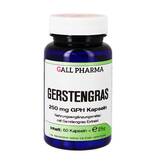 Produktbild Gerstengras 250 mg GPH Kapseln