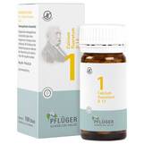 Produktbild Biochemie Pfl&uuml;ger 1 Calcium fluoratum D 12 Tabletten