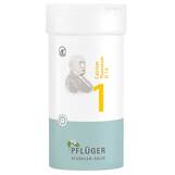 Produktbild Biochemie Pfl&uuml;ger 1 Calcium fluoratum D 12 Tabletten