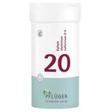 Produktbild Biochemie Pfl&uuml;ger 20 Kalium aluminium sulfuricum D 6 Tabletten