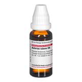 Produktbild DHU Asterias Rubens D 6 Dilution