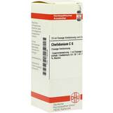 Produktbild DHU Chelidonium C 6 Dilution