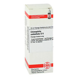 Abbildung: DHU Chimaphila umbellata D 6 Dilution Dilution, 20 ml PZN 07164443