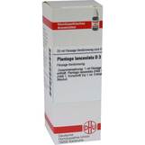 Produktbild DHU Plantago lanceolata D 3 Dilution