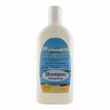 Produktbild Totes Meer Salz Shampoo