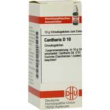 Produktbild DHU Cantharis D 10 Globuli