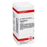 Produktbild DHU Espeletia D 6 Tabletten