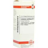 Produktbild DHU Leonurus Cardiaca D 1 Dilution