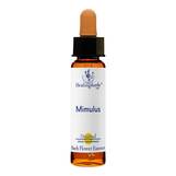 Produktbild Bachbl&uuml;ten Mimulus Healing Herbs Tropfen