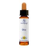 Produktbild Bachbl&uuml;ten Olive Healing Herbs Tropfen