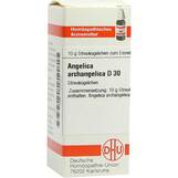 Produktbild DHU Angelica Archangelica D 30 G