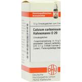 Produktbild DHU Calcium carbonicum D 20 Globuli