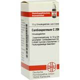 Produktbild DHU Cardiospermum C 200 Globuli