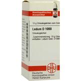 Produktbild DHU Ledum D 1000 Globuli