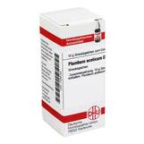 Produktbild DHU Plumbum aceticum D 12 Globuli