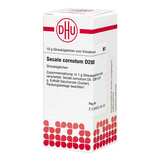 Produktbild DHU Secale cornutum D 200 Globuli